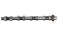 Wałek rozrząduCM05-2418, FRECCIA w ofercie sklepu e-autoparts.pl 