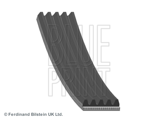 Pasek klinowy wielorowkowy AD05R1815 BLUE PRINT