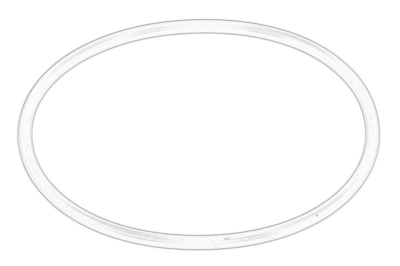 Uszczelka pompy wtryskowej  9814313680 PEUGEOT CITROEN