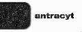 DYWANIKI TEKSTYLNE ANTRACYT CITROEN C3 09- KPL 4SZT 97009700-192 POL, POLGUM w ofercie sklepu e-autoparts.pl 